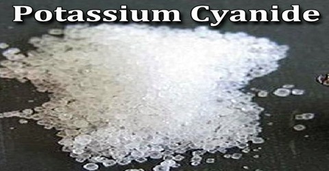 potassium cyanide for sale,buy potassium cyanide,buy potassium cyanide canada, buy potassium,buy potassium cyanide uk,how can i buy potassium cyanide